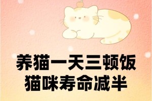 猫咪的饮食需求（喂养猫咪的最佳频率与方法）