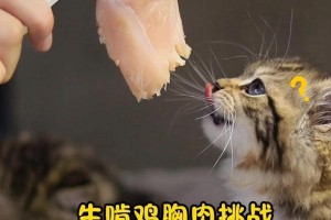 如何为小猫蒸制鸡胸肉？（为你的幼猫提供健康的饮食选择）