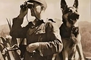 狗喜欢的人前世的秘密（追寻狗与人之间的前世纠缠）