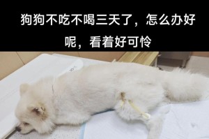 小狗肠炎的原因及预防方法（探索小狗肠炎的病因，了解如何预防和治疗）