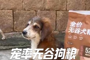 狗的饮食（探索狗的饮食多样性，了解更多健康食品）