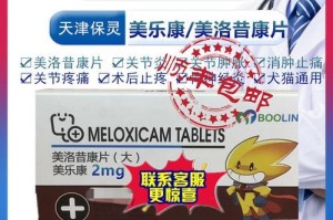 泰迪狗的止疼药物选择（了解泰迪狗止疼药物的选择与使用）