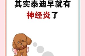 治疗泰迪阴囊炎的方法和时长（探讨泰迪阴囊炎康复的关键要素及时间预期）