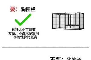 新手养狗必备好物清单（从小事做起，让你的宠物狗生活更舒适）