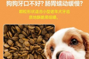 小泰迪狗粮选购指南（了解小泰迪狗粮的种类和特点，给你的宠物健康饮食！）