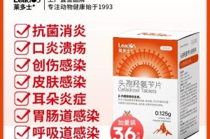 揭秘狗狗吐白沫的原因及正确选择胃药（保护狗狗肠胃健康，关键是正确的药物选择）
