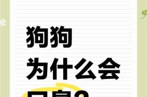 狗的口水中的细菌及其对人类健康的影响（研究发现狗的口水中存在多种细菌，但并非全都有害）