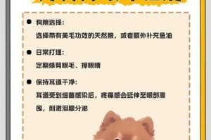 探究博美为何常咬东西（剖析博美咬东西的原因及解决方法）