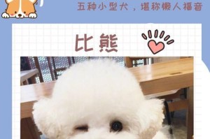 高智商的五种小型犬（揭秘五种小型犬的高智商及其训练技巧）