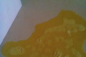 狗狗吐出异物应急处理方法（选择最佳药物帮助狗狗恢复健康）