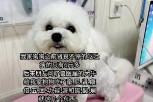 狗狗呕吐（解析狗狗呕吐的持续时间和复原过程）