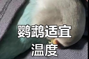 鹦鹉鱼温度过低的危害及预防措施（了解鹦鹉鱼温度需求，维持理想水温是关键）