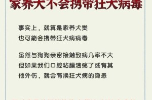 注射疫苗，守护爱宠的健康（以铲屎官的责任与担当）