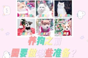 准备养狗所需用品的指南（为你的狗狗提供舒适的生活环境）