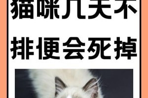 猫吃巧克力会导致中毒甚至死亡的危险！（了解猫咪食用巧克力的安全时间窗口及对其身体的影响。）