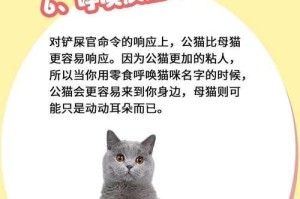 公猫和母猫的区别及养殖选择（探讨公猫和母猫的特点与优劣，帮助选择合适的宠物伴侣）