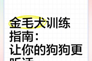 如何给金毛犬驱虫？注意事项一网打尽！（金毛驱虫，宠物健康不容忽视）