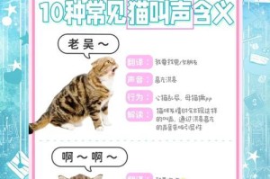 保护小猫免受大猫哈气的伤害（大猫哈气的危害及如何制止）
