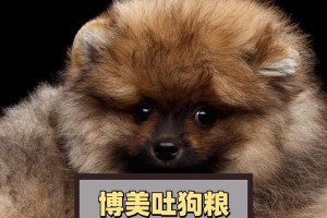 博美怀孕多久出现呕吐？（揭秘博美妈妈孕吐的时间节点及原因）