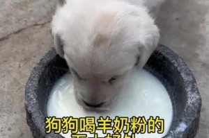 狗狗羊奶粉的断奶时机（了解狗狗羊奶粉断奶的最佳时机及方法）
