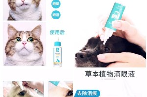 小猫为什么一只眼睛老有眼屎怎么办（解决小猫眼屎问题的方法及注意事项）