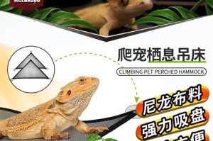 养鬃狮蜥的最佳选择（了解养鬃狮蜥的栖息需求，选择合适的箱子才能确保它们健康快乐。）