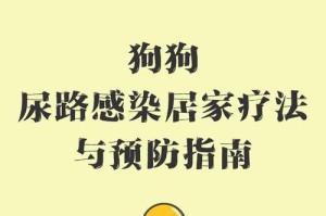 狗狗尿路感染的原因与预防措施（了解狗狗尿路感染的成因，让它们远离疾病的困扰）
