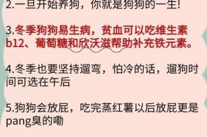 养狗指南（了解养狗前的注意事项，给狗狗一个幸福的家）