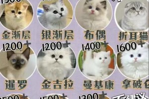 新手养猫必备清单！（养猫所需物品大揭秘，让你轻松迈入猫奴行列！）