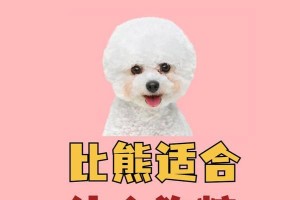 成年比熊食用10狗粮的时间（揭秘成年比熊每日食用10狗粮的奥秘）