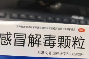 金毛咳嗽问题解决方案（2个月大金毛犬咳嗽的药物治疗及护理建议）