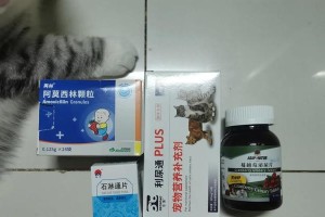猫膀胱结晶药物治疗的时间及效果观察（了解药物治疗猫膀胱结晶需要多长时间，关注）