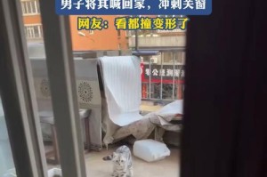 公猫外出探险，何时回家？（公猫迷失在外的冒险时光与家园的渴望）