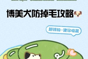 博美狗的毛发护理秘籍（揭秘博美狗退毛周期及有效的护理方法）