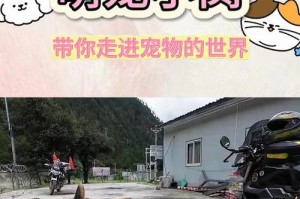 小狗的追逐乐园（探索小狗最喜欢追逐的对象及其原因）