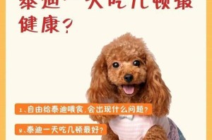 贵宾犬的饮食喜好解析（揭秘贵宾犬喜欢吃的食物及其健康影响）
