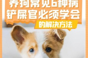 人类常见疾病对狗的传染性及防护措施（保护你的宠物，了解疾病传播风险和预防方法）