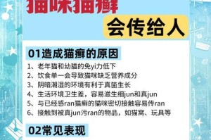 小心！猫咪频繁挠皮肤可能是猫癣的征兆（保护宠物免受猫癣侵害的重要性及预防方法）