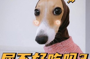 以柴犬为代表的犬类拒绝吃生人食物的原因及影响