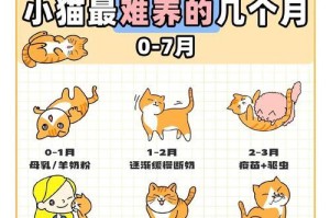 小奶猫的排便频率（探讨小奶猫拉粑粑的频率与健康关系）
