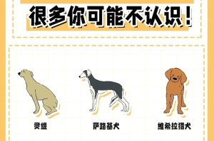 探索世界上的萌宠聚居区（揭秘这些独特的宠物天堂）