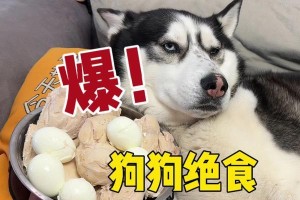 狗狗能多久不吃饭？（探究狗狗不进食的时间限制及对健康的影响）