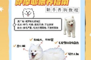 萨摩犬的洗澡时间（洗澡频率和时机是关键，如何正确护理你的萨摩犬？）