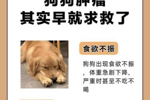 狗狗乳腺癌的生存期（狗狗乳腺癌能活多久？）