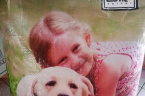 如何选择适合幼犬泰迪的狗粮？（从营养需求到口味偏好，为你的幼犬泰迪选择最佳狗粮）