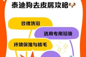 小泰迪宝宝洗澡频率的建议（探讨小泰迪宝宝洗澡的最佳时间和频率）