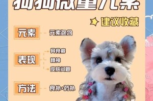 探索狗狗微量元素的优质牌子（为宠物狗提供全面微量元素的必备选择）