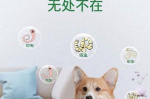 贵宾犬身体驱虫周期及注意事项（了解贵宾犬身体驱虫周期，宠物更健康）