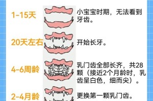 狗的分类及其毛发特征（了解不同狗种的毛发特征及其分类）