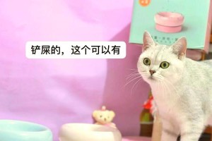 了解逗猫棒的正确使用方法，确保猫咪的安全和快乐（铲屎官必看）